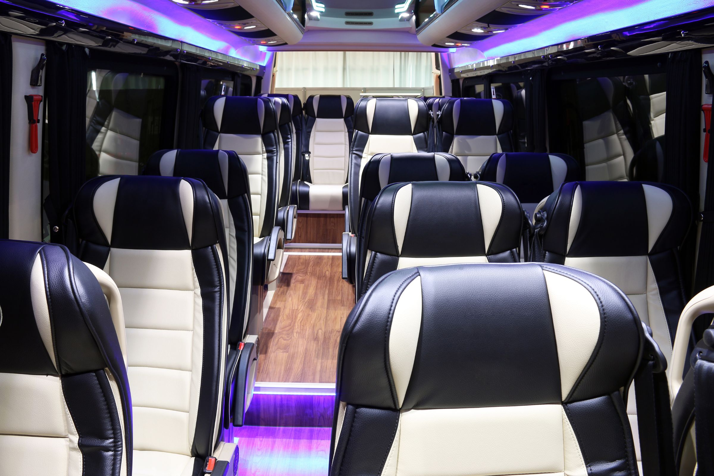 Reasons to Choose a Party Charter Bus for Prom or Graduation